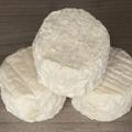 Crottin de chevre mi sec03 1